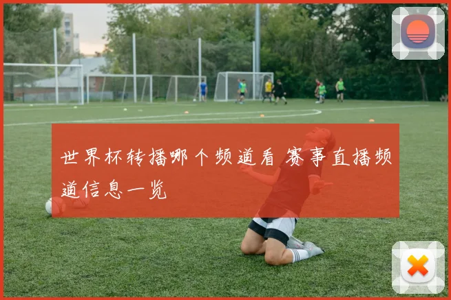 世界杯转播哪个频道看 赛事直播频道信息一览
