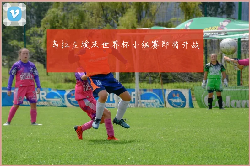 乌拉圭埃及世界杯小组赛即将开战