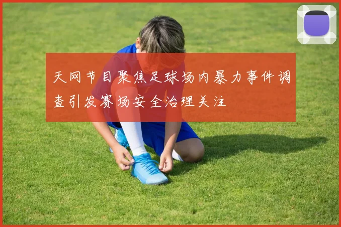 天网节目聚焦足球场内暴力事件调查引发赛场安全治理关注
