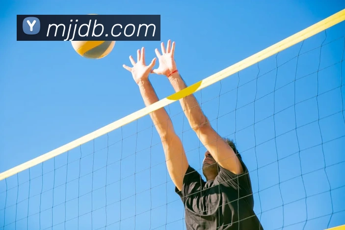 辅助工具 辅助工具